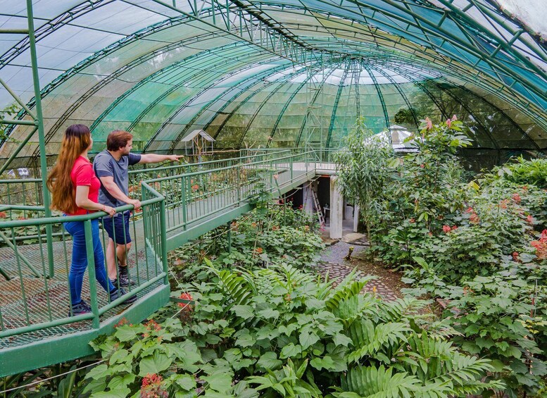Picture 4 for Activity La Fortuna: Natura Eco Park Plus Admission and Guided Tour 5