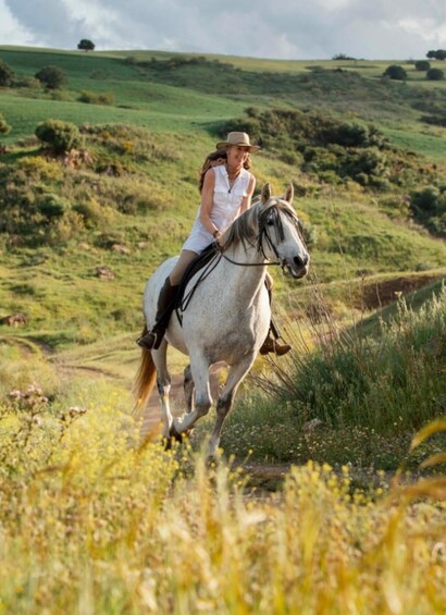 San José: Horseback Riding in Scenic Cloud Forest 1