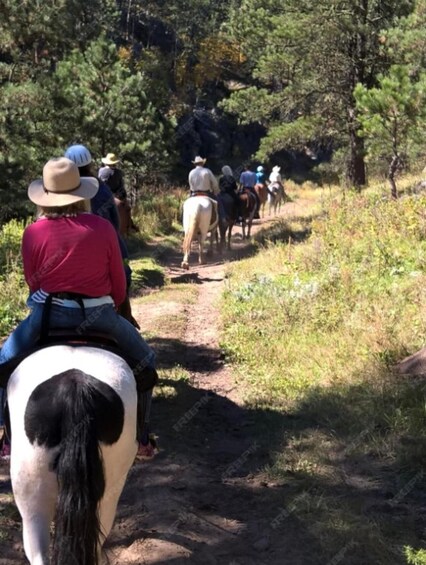 Picture 4 for Activity San José: Horseback Riding in Scenic Cloud Forest 5