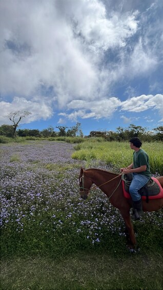 Picture 3 for Activity San José: Horseback Riding in Scenic Cloud Forest 2