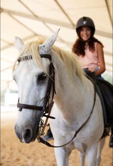Picture 5 for Activity San José: Horseback Riding in Scenic Cloud Forest 4
