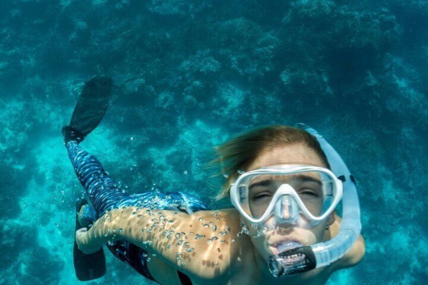 Coral Reef Snorkel Tour with Marine Biologists Videos Included 5