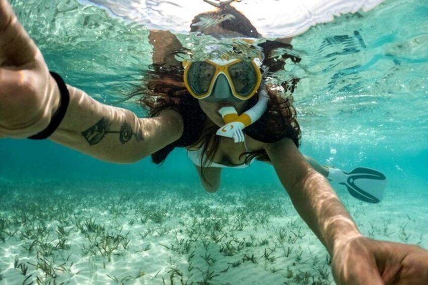 Coral Reef Snorkel Tour with Marine Biologists Videos Included 4