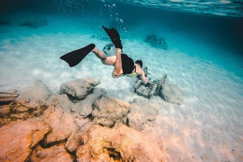 Coral Reef Snorkel Tour with Marine Biologists Videos Included 2