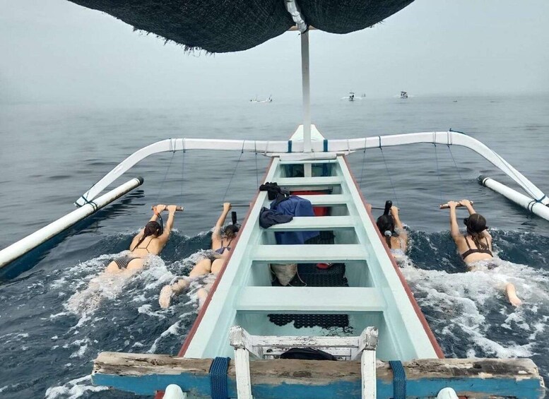 Bali: Lovina Dolphin Watching and Snorkeling Tour 1