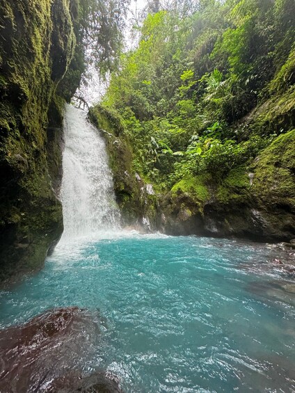 A waterfall cascading into a turquoise pool surrounded by lush greenery. 4