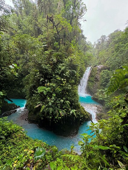A waterfall cascading into a turquoise river surrounded by dense green foliage. 1