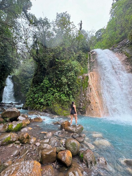 A waterfall, rocky terrain, and dense greenery. 5
