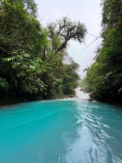 A turquoise river surrounded by dense green foliage. 3
