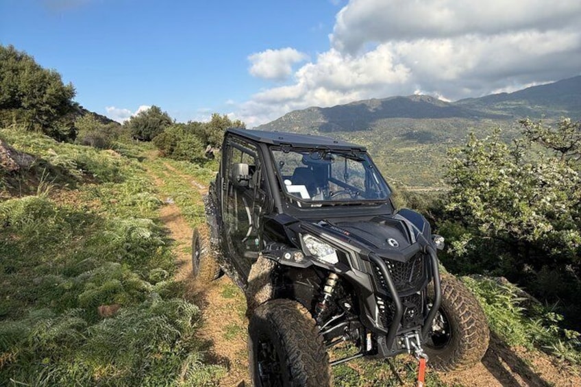 Wild Buggy Tour in Madonie Park 1