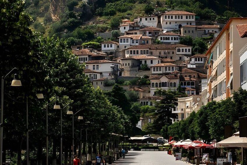 A street lined with trees and buildings, leading up a hill with terraced houses. 1