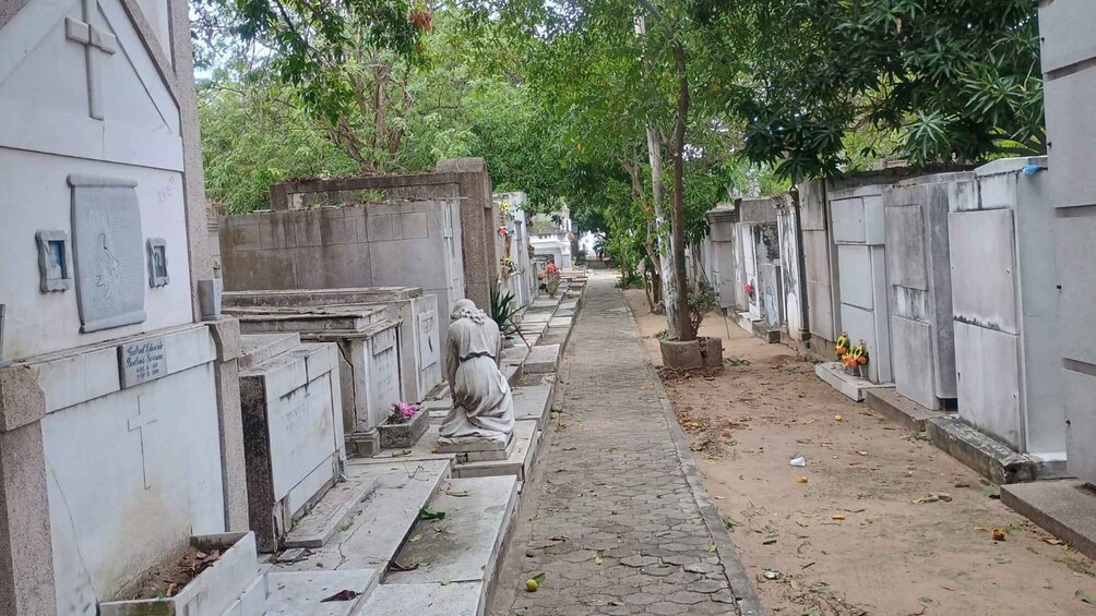 Picture 2 for Activity Explore the history of the universal cemetery of Barranquilla 5