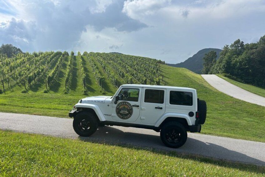 Private Dahlonega Winery and Waterfall Tour by Jeep 1