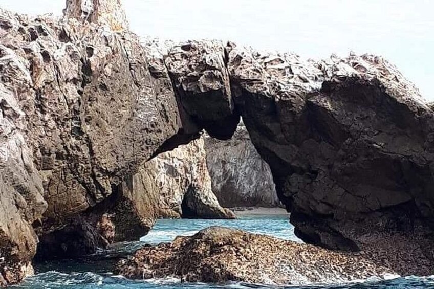 Guaranteed Hidden Beach • Small Group Tour • Punta Mita 5