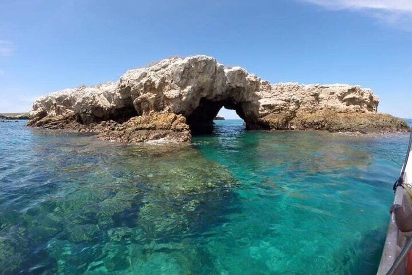 Guaranteed Hidden Beach • Small Group Tour • Punta Mita 4