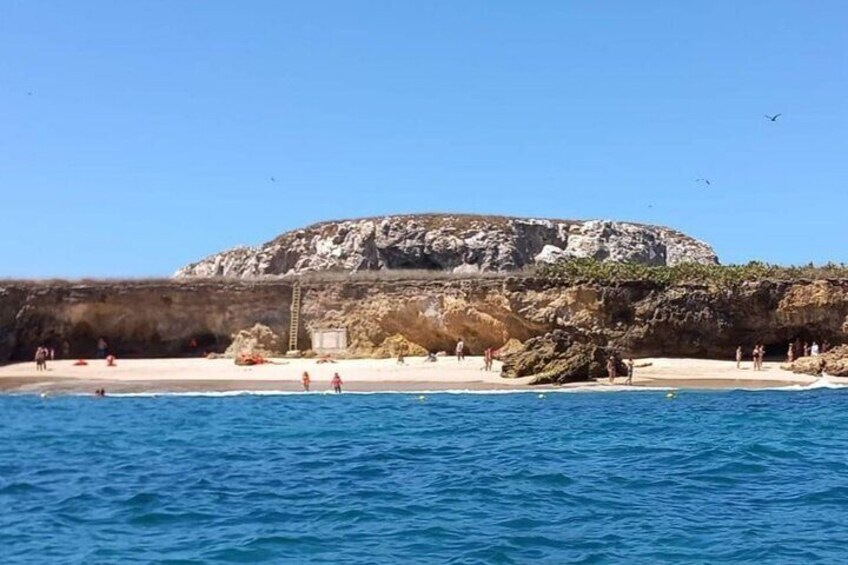 Guaranteed Hidden Beach • Private Tour • Punta Mita 5