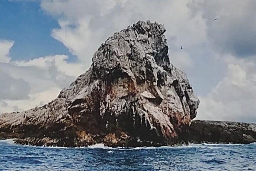 Guaranteed Hidden Beach • Private Tour • Punta Mita 2