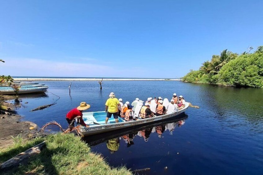 Safari through the mangroves 5