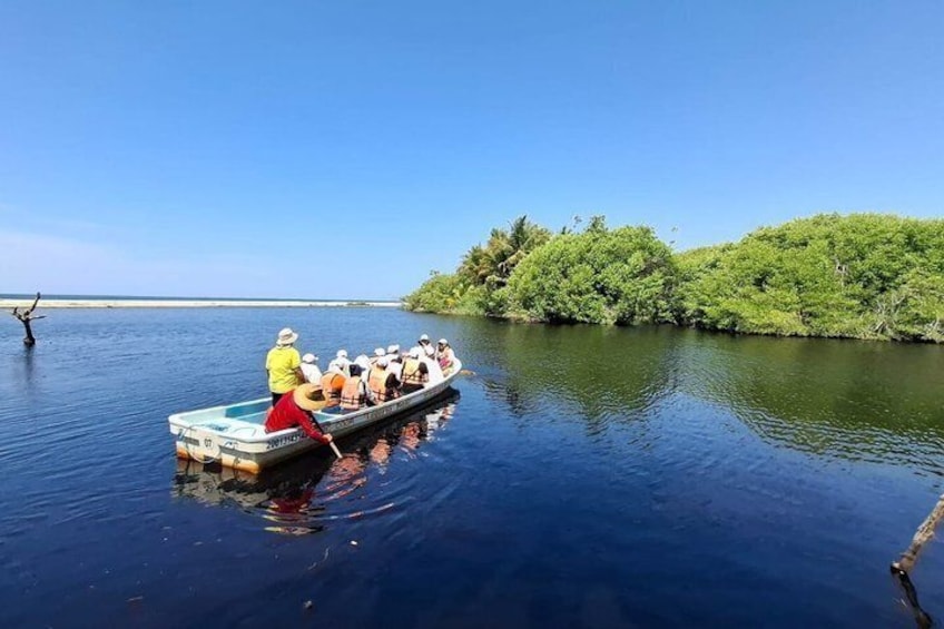 Safari through the mangroves 4