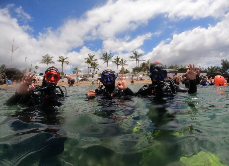 Picture 2 for Activity TRY SCUBA - Experience for beginners 3