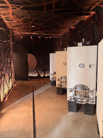 Picture 1 for Activity Pineta Wine Experience Vini Resistenti - Winery visit and tasting 4