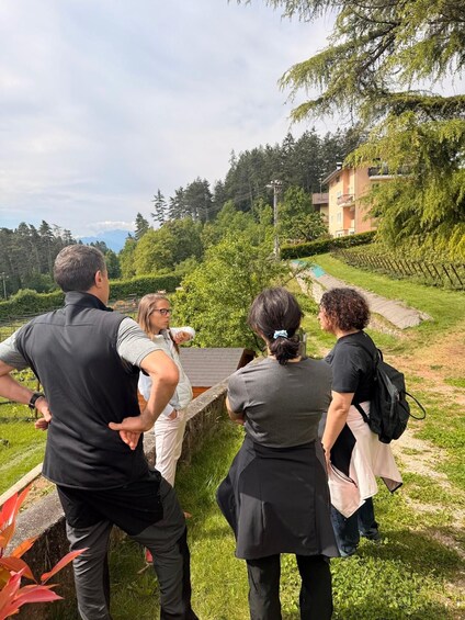 Picture 9 for Activity Pineta Wine Experience Vini Resistenti - Winery visit and tasting 3