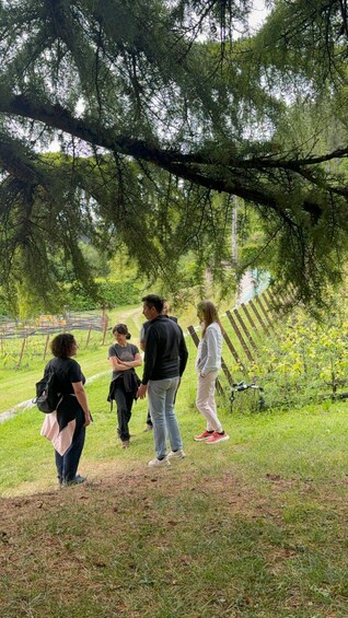 Picture 6 for Activity Pineta Wine Experience Vini Resistenti - Winery visit and tasting 2