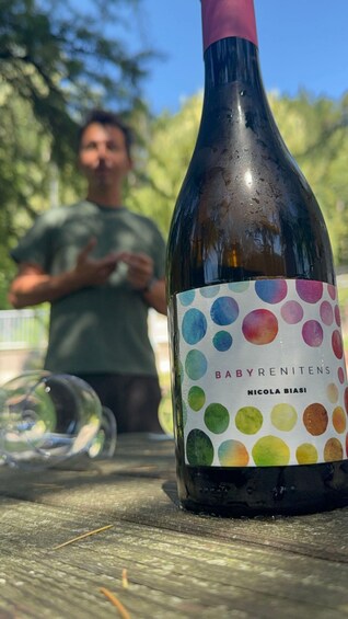 Pineta Wine Experience Vini Resistenti - Winery visit and tasting 1