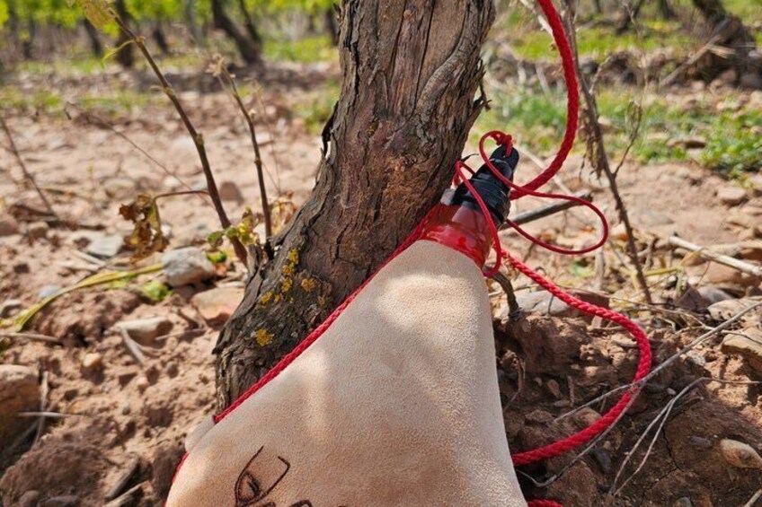 Authentic Rioja Full Day Tour | Wine Culture and Heritage 2