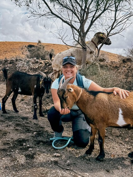 Picture 3 for Activity Fuerteventura Family Hike: Goat Adventure in the Back Country 3