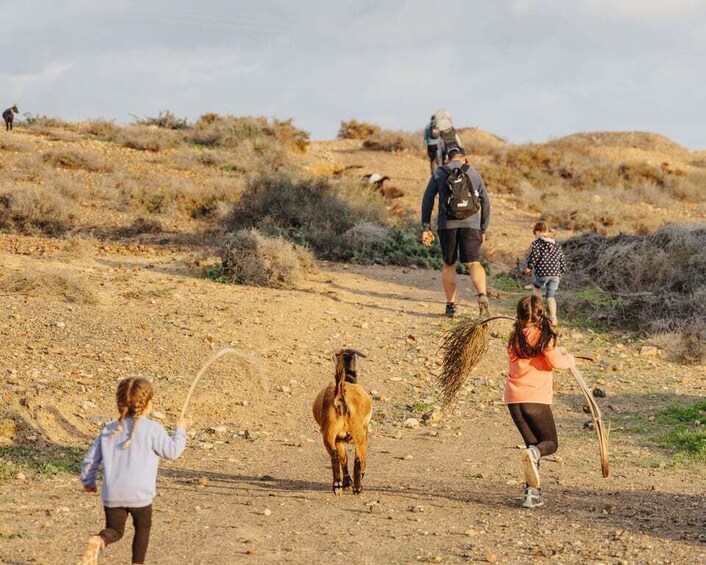 Picture 1 for Activity Fuerteventura Family Hike: Goat Adventure in the Back Country 1