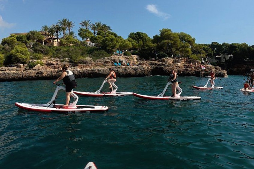 Personas practicando paddleboard sobre aguas tranquilas, con una costa rocosa y árboles al fondo. 3