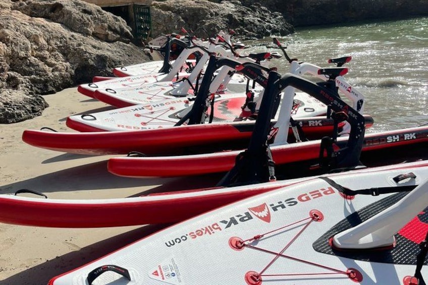 Varias kayaks rojas y blancas están alineadas sobre una playa arenosa cerca de una costa rocosa. 4