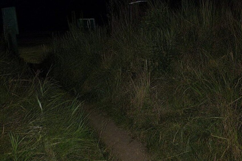 Revolutionary Shadows Yorktown Ghost Tour 3