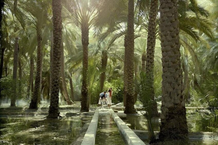 Private Al Ain Tour From Dubai With English Speaking Driver 2