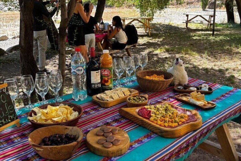 A picnic table with food, drinks, and a dog. 4
