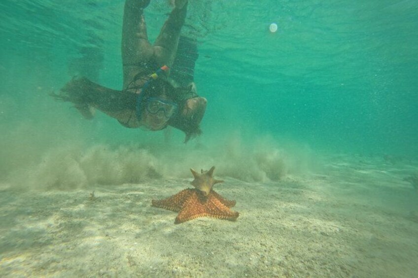 Visit Isla Perro Chico and 2 Islands with Lunch in San Blas Islands 5