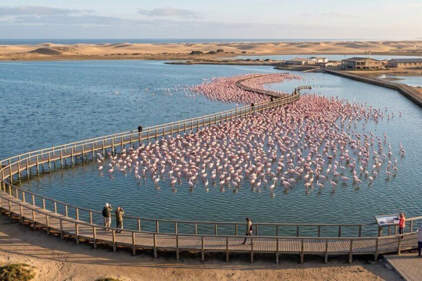 Private Customizable Walking Tour in Walvis Bay 2