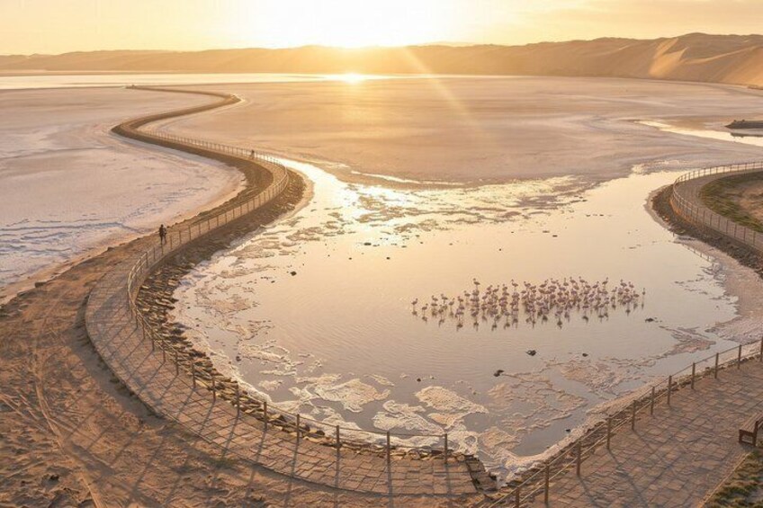Private Customizable Walking Tour in Walvis Bay 4