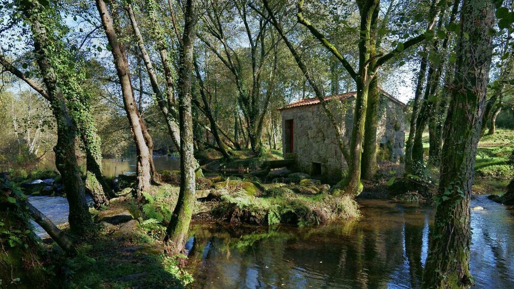 Picture 2 for Activity Green Refuge in Caldelas: Photo Shoot in Caldelas Amares 2