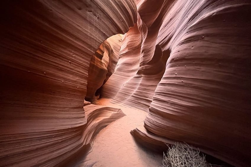 A narrow canyon with smooth, curved sandstone walls. 3