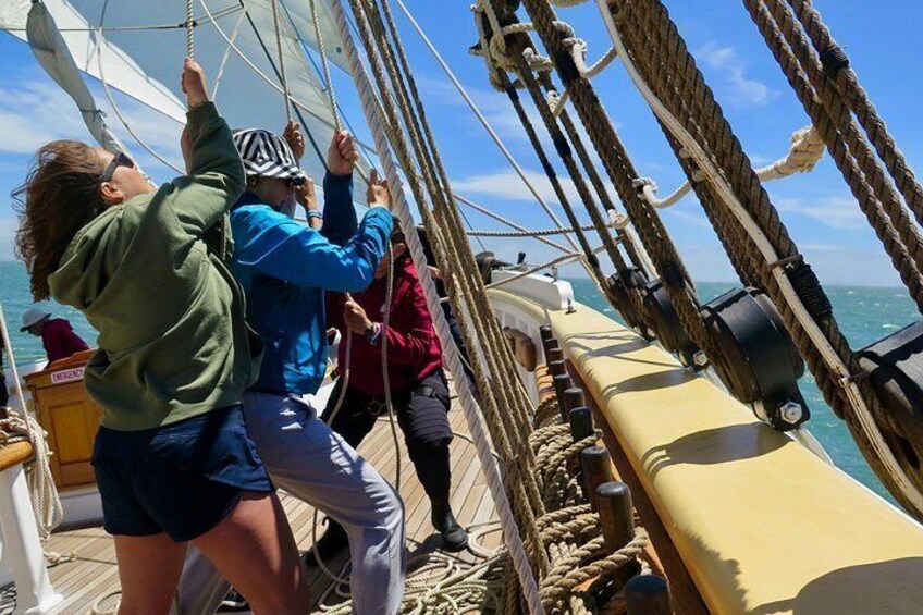 Sunset Sail on the Tall Ship Matthew Turner in San Francisco Bay 4