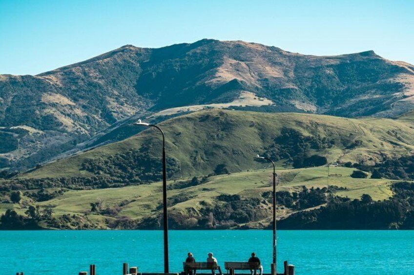 Private Akaroa Day Trip and Nature Cruise from Christchurch 3