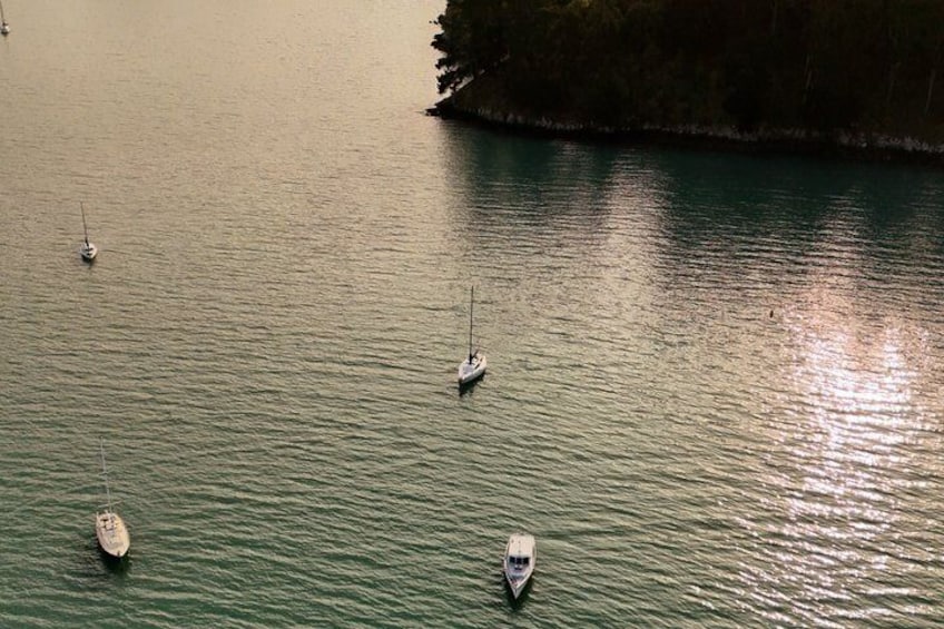 Private Akaroa Day Trip and Nature Cruise from Christchurch 4