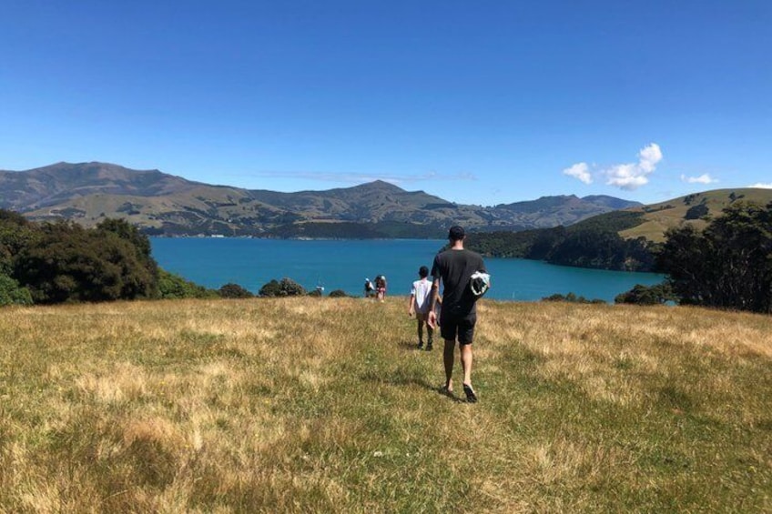 Private Akaroa Day Trip and Nature Cruise from Christchurch 2