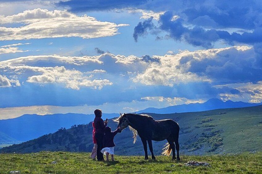 A person with a horse on a grassy hill with mountains in the background. 2