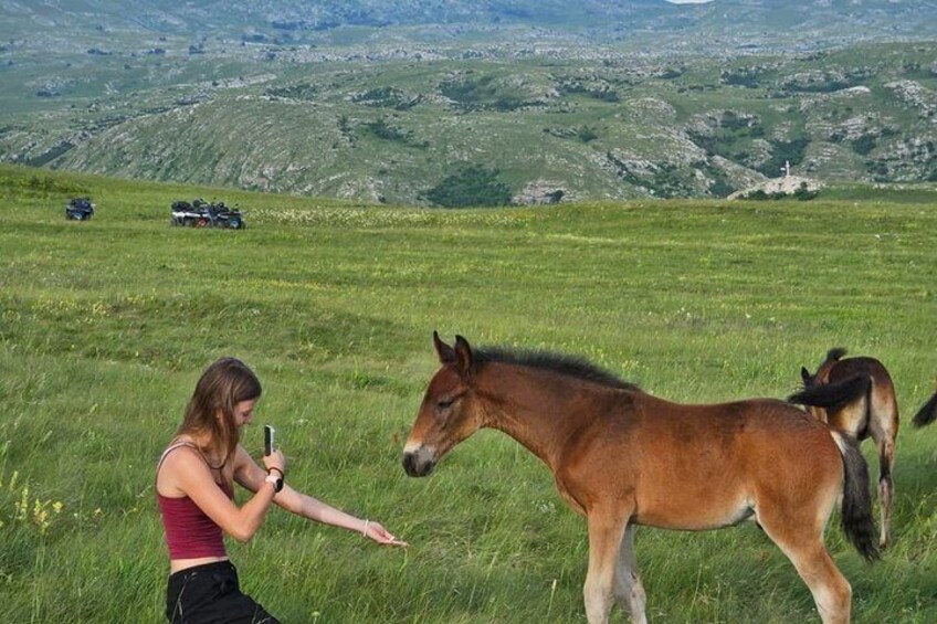 Wild Horses Livno Walking and History Tour 5