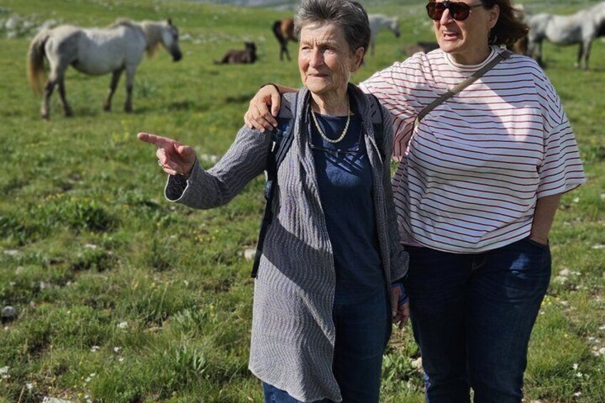 Wild Horses Livno Walking and History Tour 4