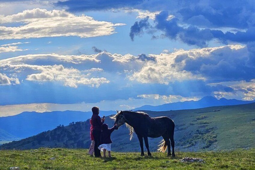 Wild Horses Livno Walking and History Tour 2