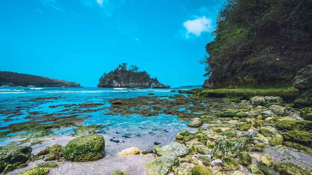 A rocky shoreline with clear turquoise water, a small island with trees, and a forested cliff. 2